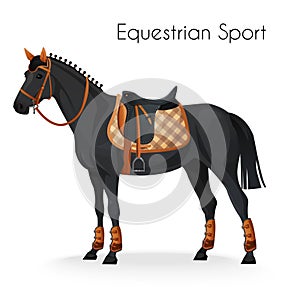 Horse with equestrian sport equipment
