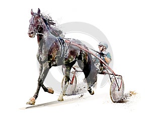 Horse. Equestrian sport. Trotter race. Jockey. Harness racing. Watercolor painting illustration. Hippodrome. Isolated on photo
