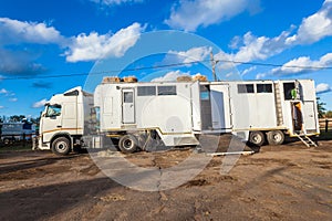 Horse Equestrian Truck Vehicle Transport