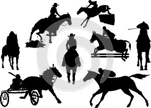 Horse, equestrian vector on white background