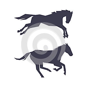 Horse or Equine Black Silhouette as Domesticated, Odd-toed, Hoofed Mammal Vector Set