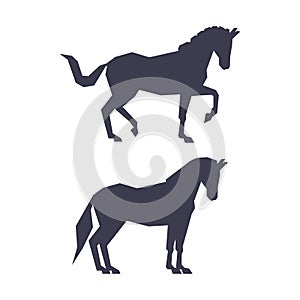 Horse or Equine Black Silhouette as Domesticated, Odd-toed, Hoofed Mammal Vector Set