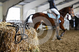 Horse equipment and dressage