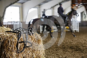 Horse equipment and dressage