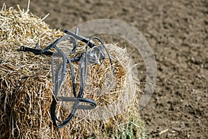 Horse equipment on a fresh bricks of hay