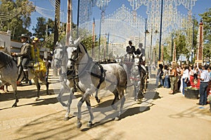 Horse Fair in Jerez, Cadiz Spain