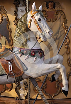 Horse on fairground carousel