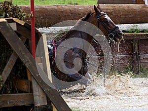Horse falls in the water obstacle.Three-day-event