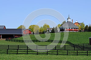 Horse Farm