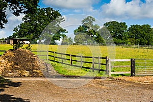 Horse farm