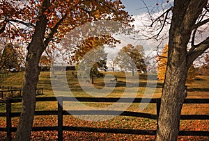 Horse Farm in Autumn