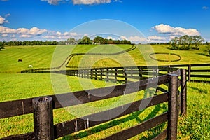 Horse farm fences photo