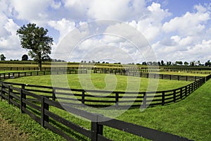 Horse Farm in Lexington, Kentucky photo