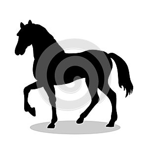 Horse farm mammal black silhouette animal