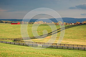 Horse farm in Virginia