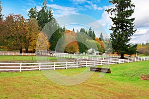 Horse farm with white fence and fall colorful leaves.