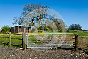 Horse farm