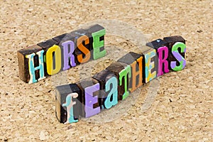 Horse feathers metaphor nonsense common sense illogical foolish stupid gossip expression