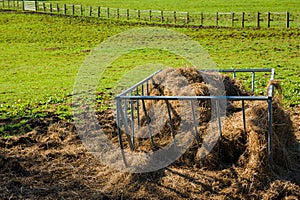 Horse feeder