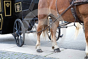 Horse feet with hoofs against the wheels of the coach