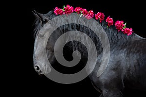 Horse with flowers in mane