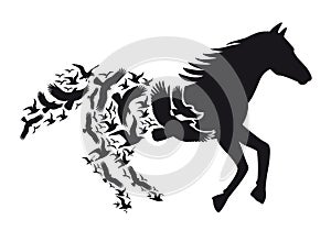 Horse with flying birds, vector