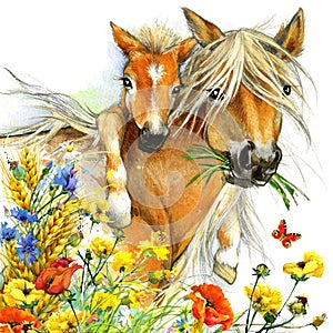 Horse and foal motherhood. background greetings illustration