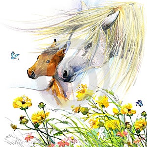 Horse and foal motherhood. background greetings illustration