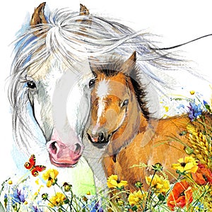 Horse and foal motherhood. background greetings illustration