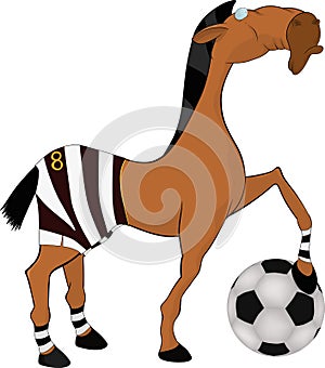 Un cavallo calcio giocatore 