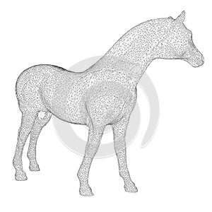 Horse frame made of black lines on a white background. Detailed horse from lines. 3D. Vector illustration photo