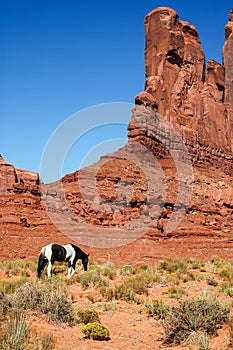 A horse in front of a red rock formations, USA