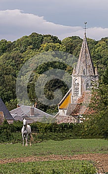 Horse in front of the village bell tower photo