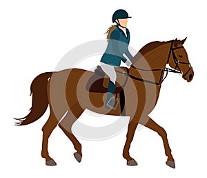 Horse gait and jockey, equestrian sports. Vector illustration