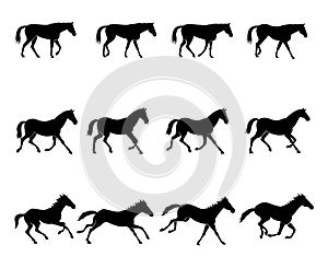 Horse gaits