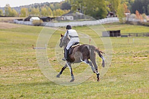 Horse gallop during eventing competition