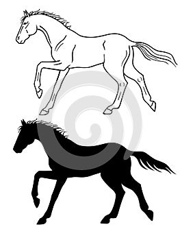 The horse gallops. The linear figure of a horse also appears. Horse racing, running.