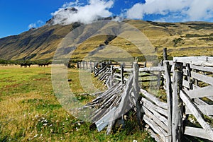 Horse Gate in Patagonia photo
