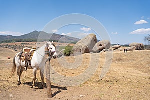 The horse and the giant stones of Tapalpa Jalisco Mexico. photo