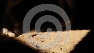 A horse goes trot on the sand in the arena. The legs of a horse in a light triangle. Close up