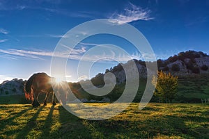 Horse in Gorbea at sunset