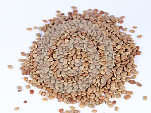 Horse Gram or kulthi bean