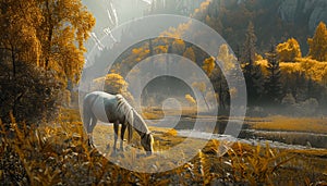 Horse grazes in meadow, surrounded by nature photo