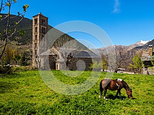 Horse grazing at the foot of the Romanesque church of photo