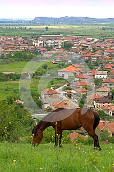 Horse grazing meadow above village