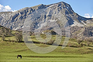 Horse in a green valley. Castilla y Leon mountain landscape