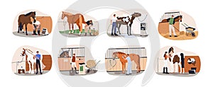 Horse grooming and equine care at stable. Brushing, washing stallion, professional horseshoeing, hoof cleaning and