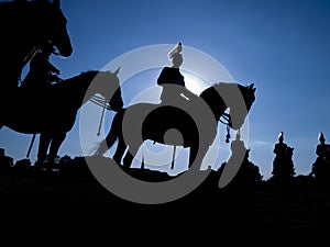 Horse Guard in the night