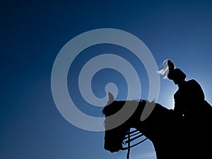 Horse Guard in the night