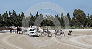 Horse harness race autostart